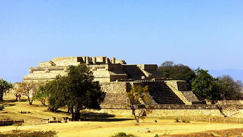 亚冬会新成员集结，朋友圈再迎扩大盛况！